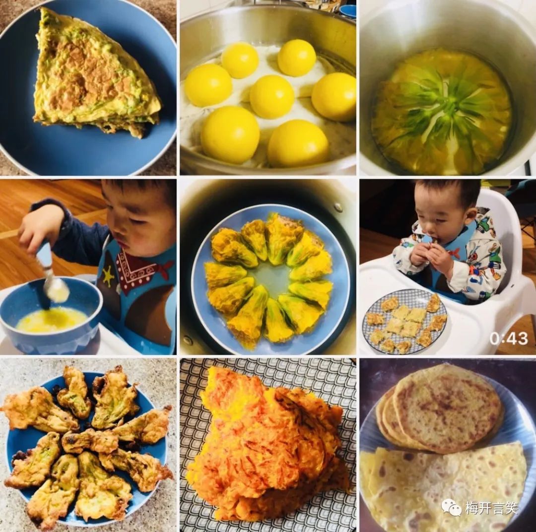 在澳洲种菜日记,我在澳洲学医