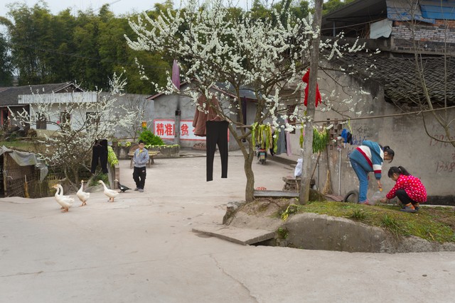 人生平淡无奇偶尔也要疯狂,每一个平淡无奇的日子