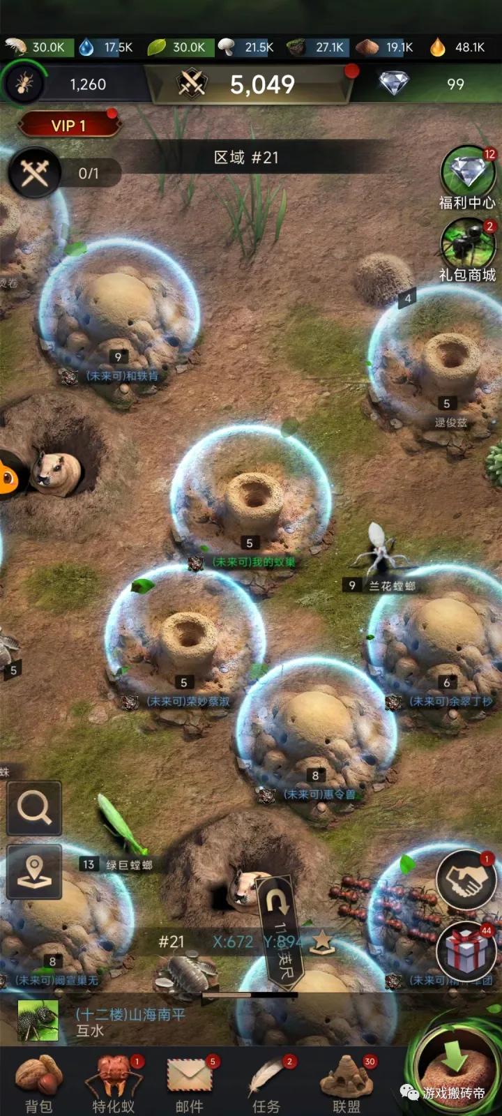 小小蚁国攻略教学视频,小小蚁国手游国际版怎么进入