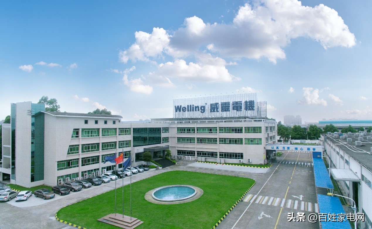 welling电机质量怎么样,welling电机