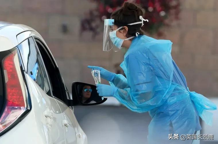 pcr精准检测,pcr实时检测