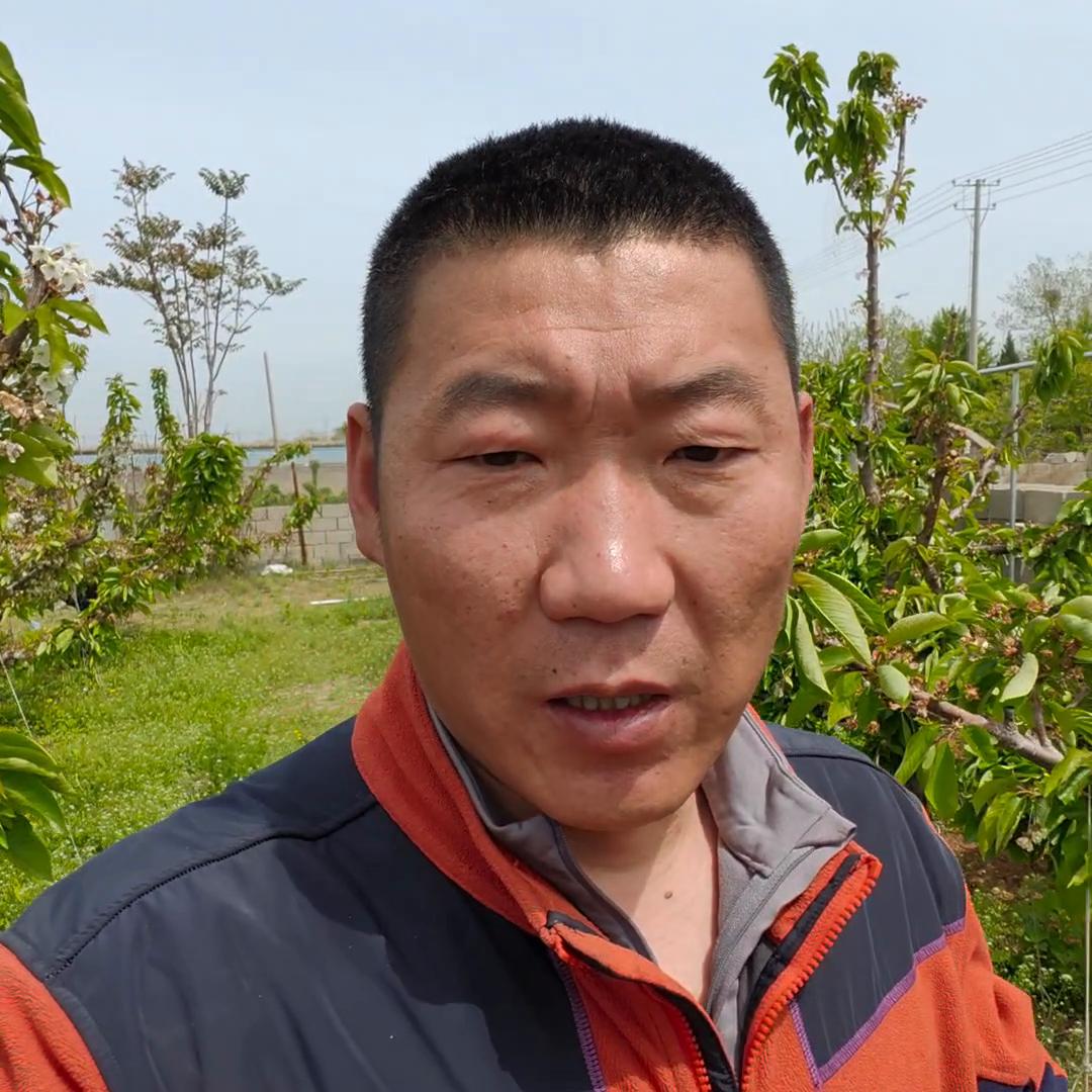 买三发四，买十发十四。花芽变叶芽，用活力酵素，进口产品...