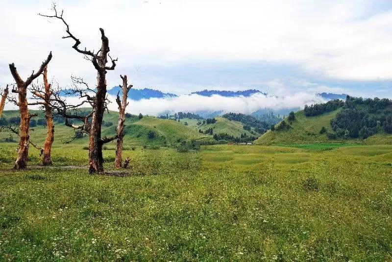 现在货币基金收益好的有哪几个,货币基金收益为什么会越来越低