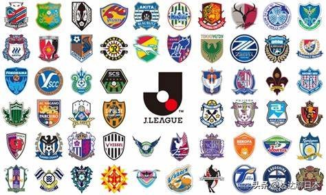 日本j联赛身价排行,日本j联赛国内薪水排名