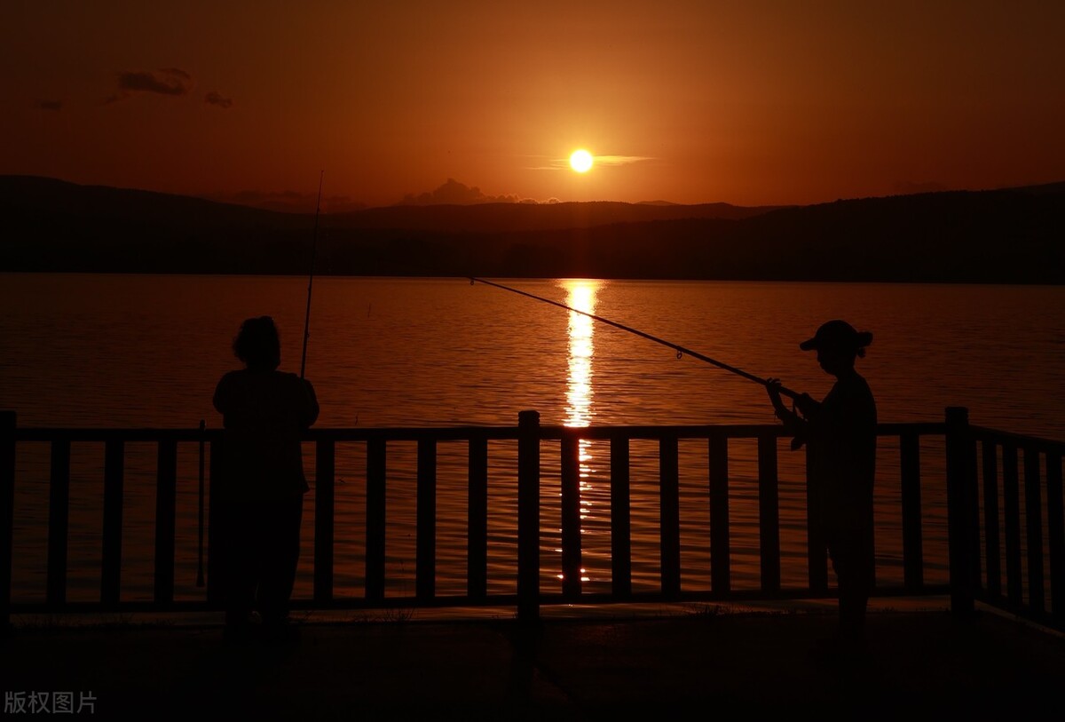 生命的本质特征,生命的本质是能量
