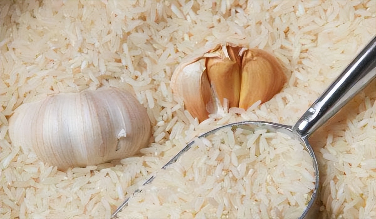 生虫子的米面还能吃吗,米面生虫怎么办还能吃吗