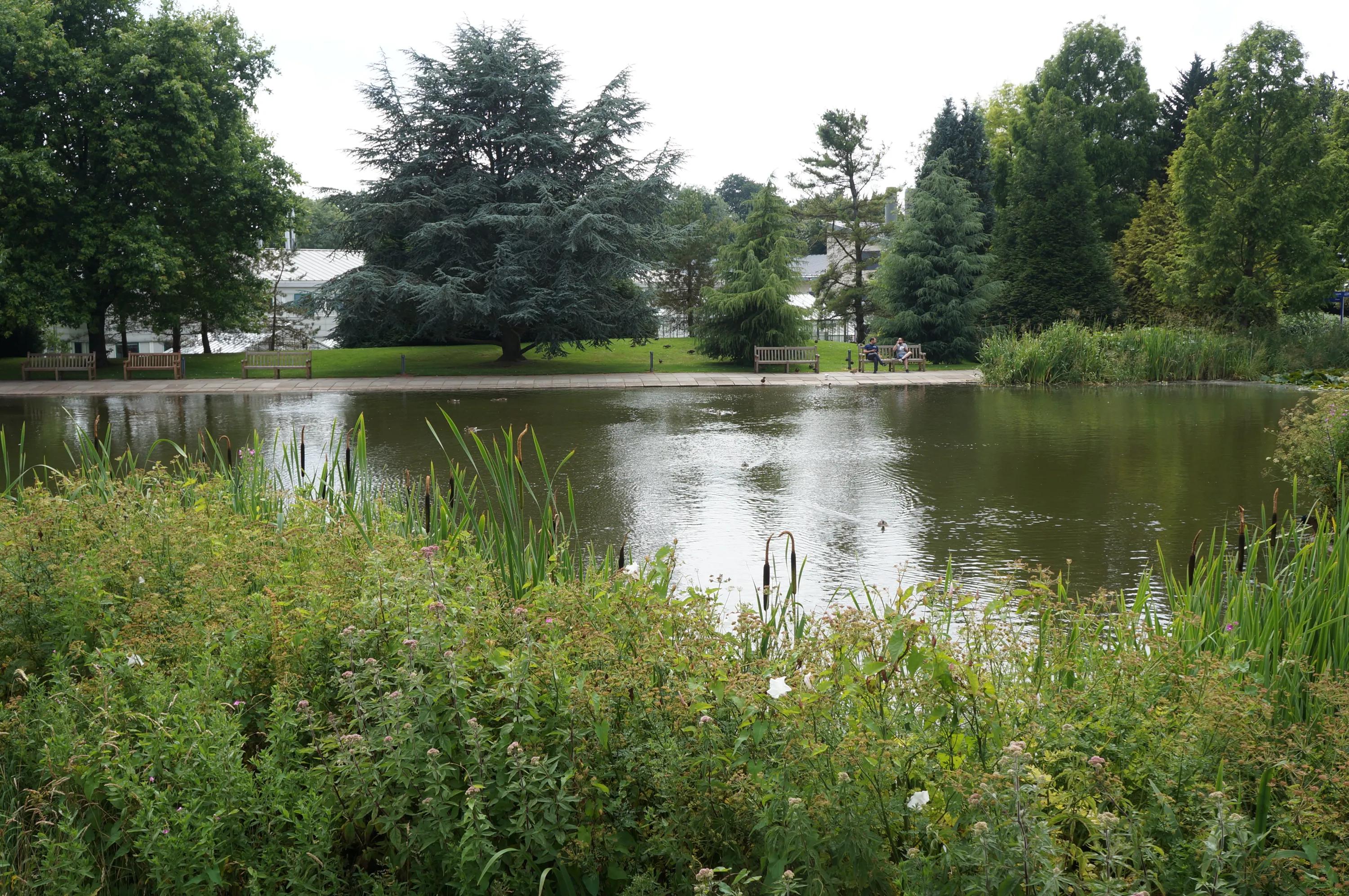 英国之旅完整版,英国巴斯旅游全攻略