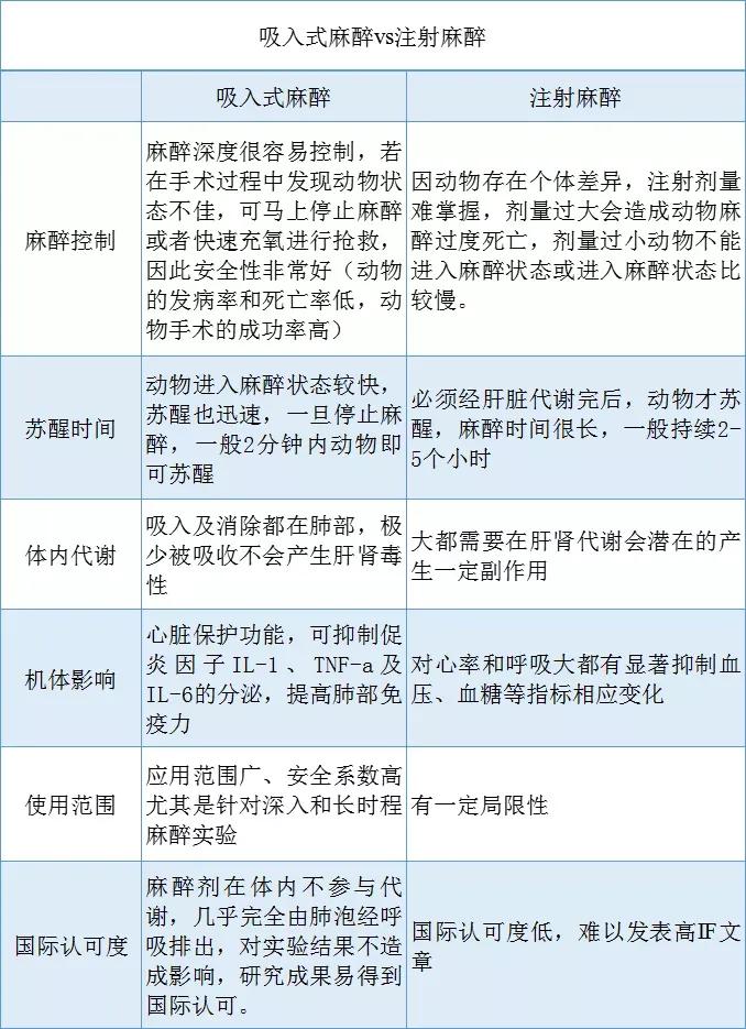 麻醉注意事项指导,麻醉实验视频完整版