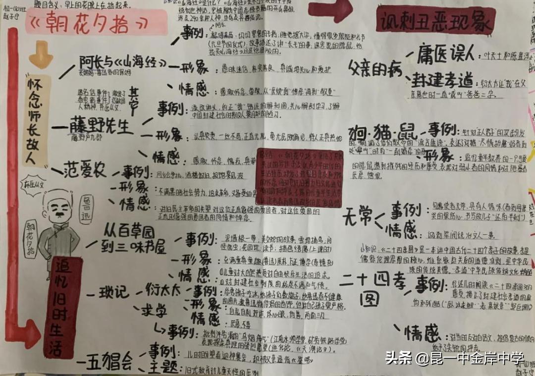 融合创新采撷精彩——《朝花夕拾》之重回百花园，绽放生命的美