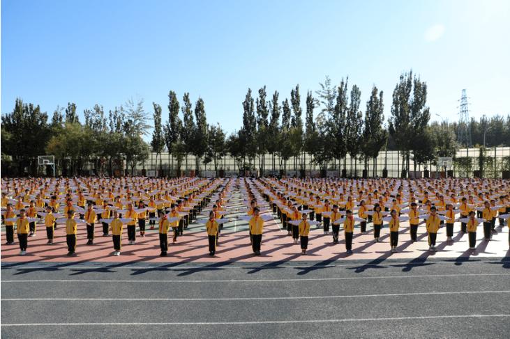 通州区小学排名前十名学校,北京通州区小学排名一览表