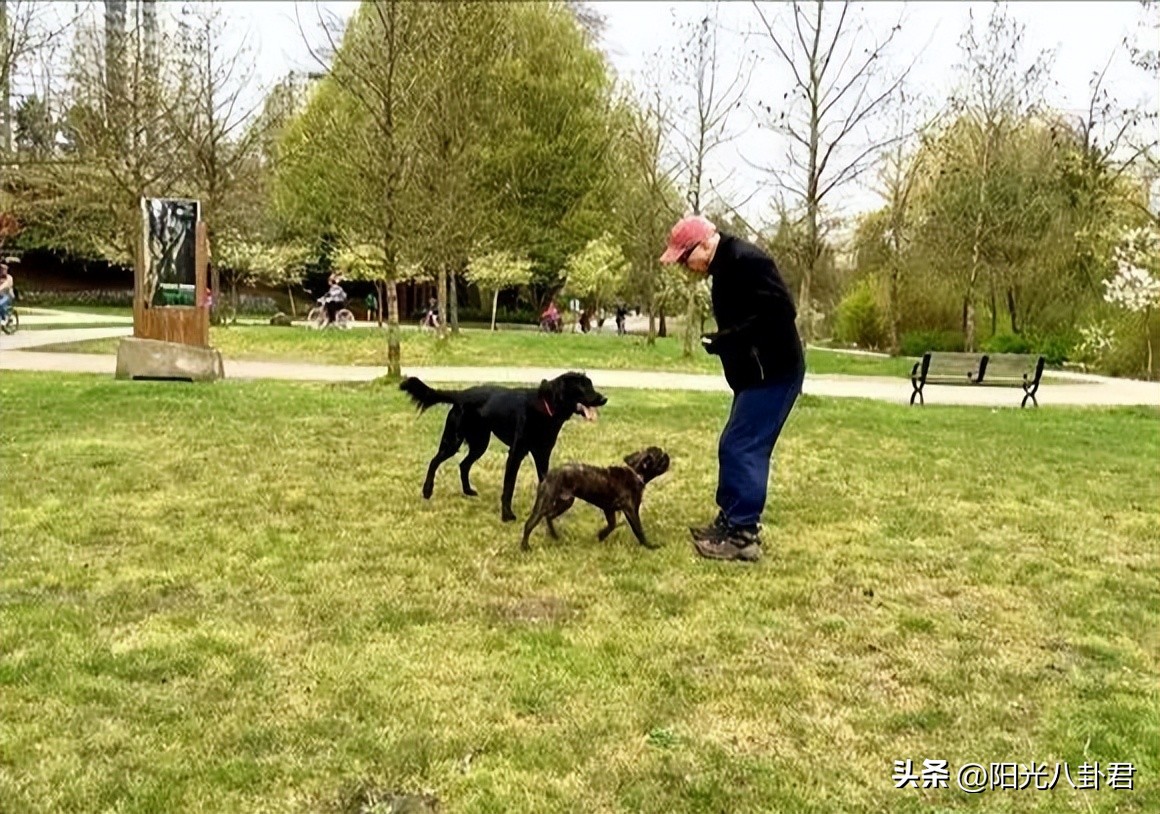 12位港星豪宅,定居内地的10位过气港星