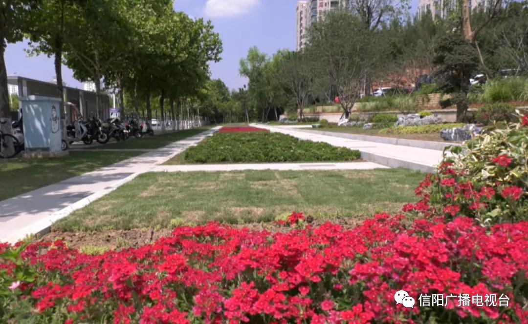 信阳最近几年新闻,信阳市最新头条新闻