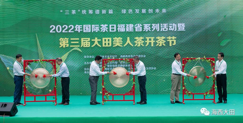 上海浦东大田美人茶迎来开茶季,海峡两岸美人茶大会福建大田举行