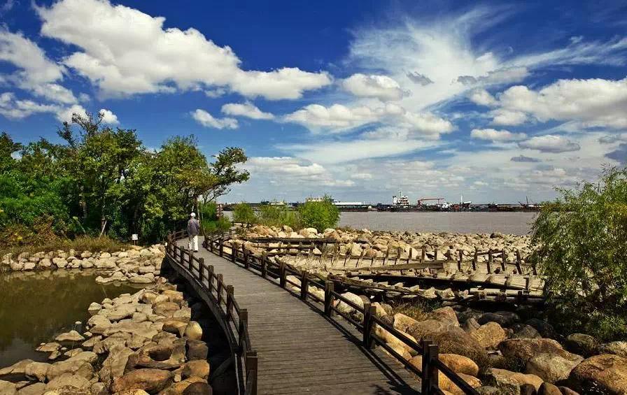 上海市宝山区五年规划,上海宝山规划最新