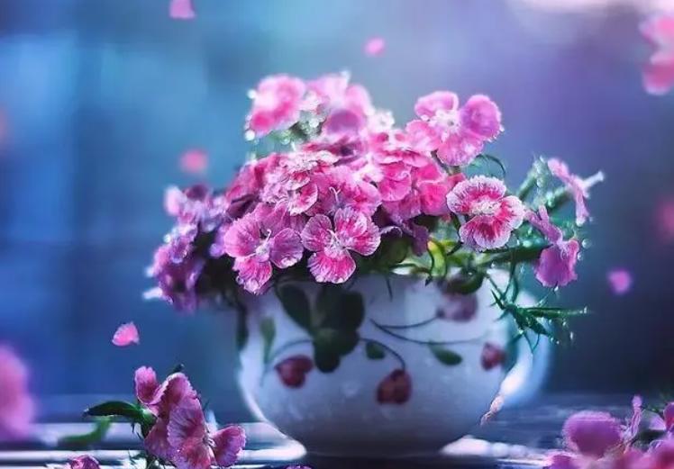 财运不好的人会怎么样,财运不好的人如何办