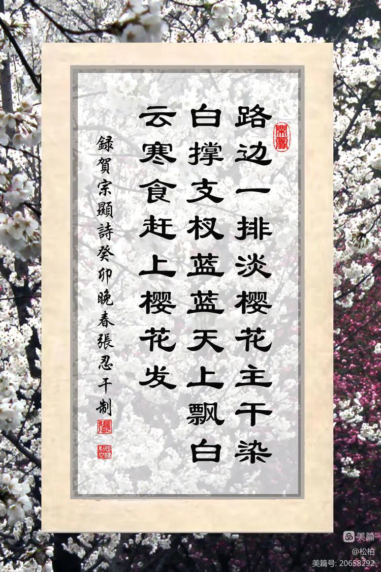 百花园（十六）樱蕾暗香溢