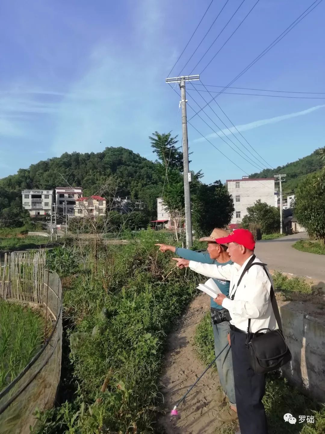 鐭虫湪灞卞,鐭虫湪瀵ㄥソ椋庡厜