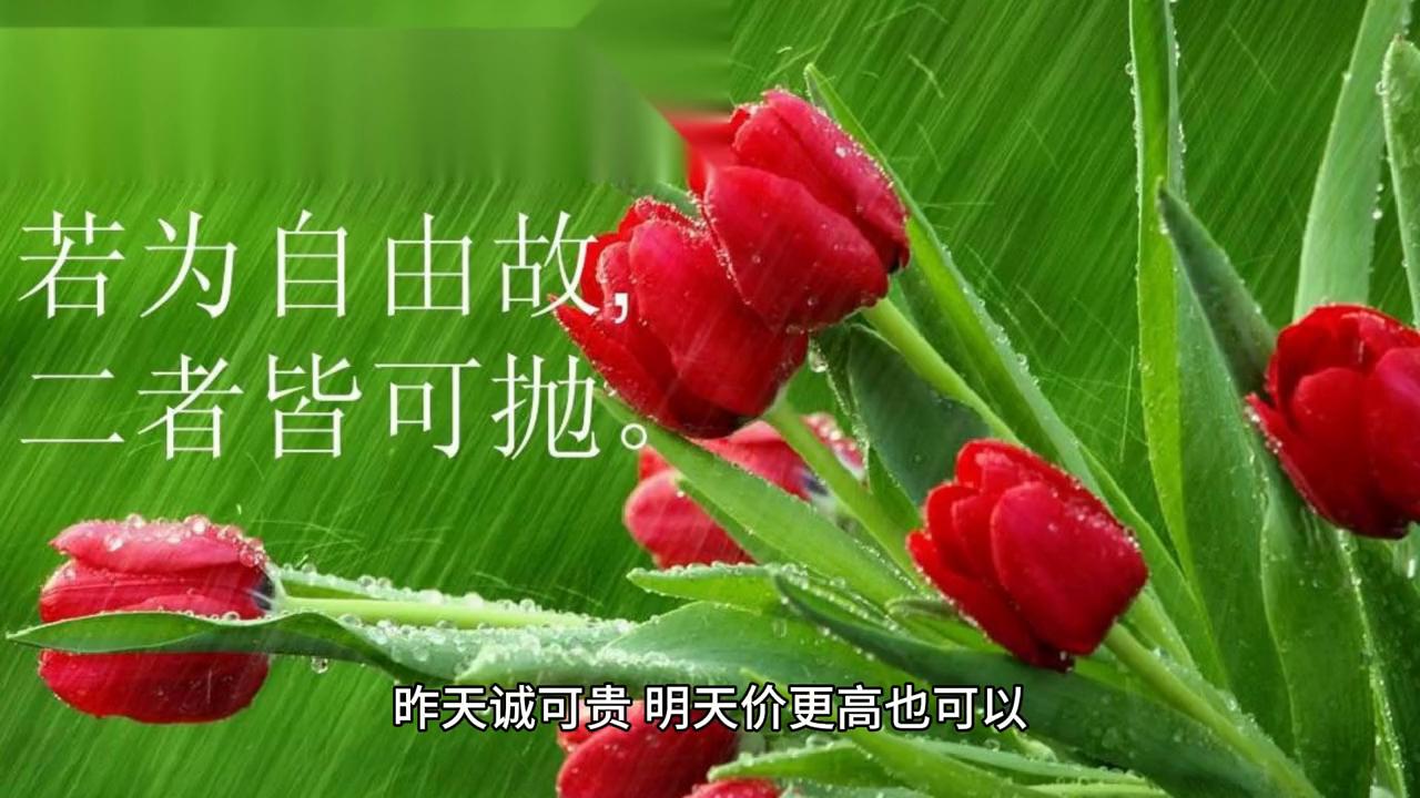 昨天诚可贵明天价更高下一句,昨天明天都不重要珍惜当下