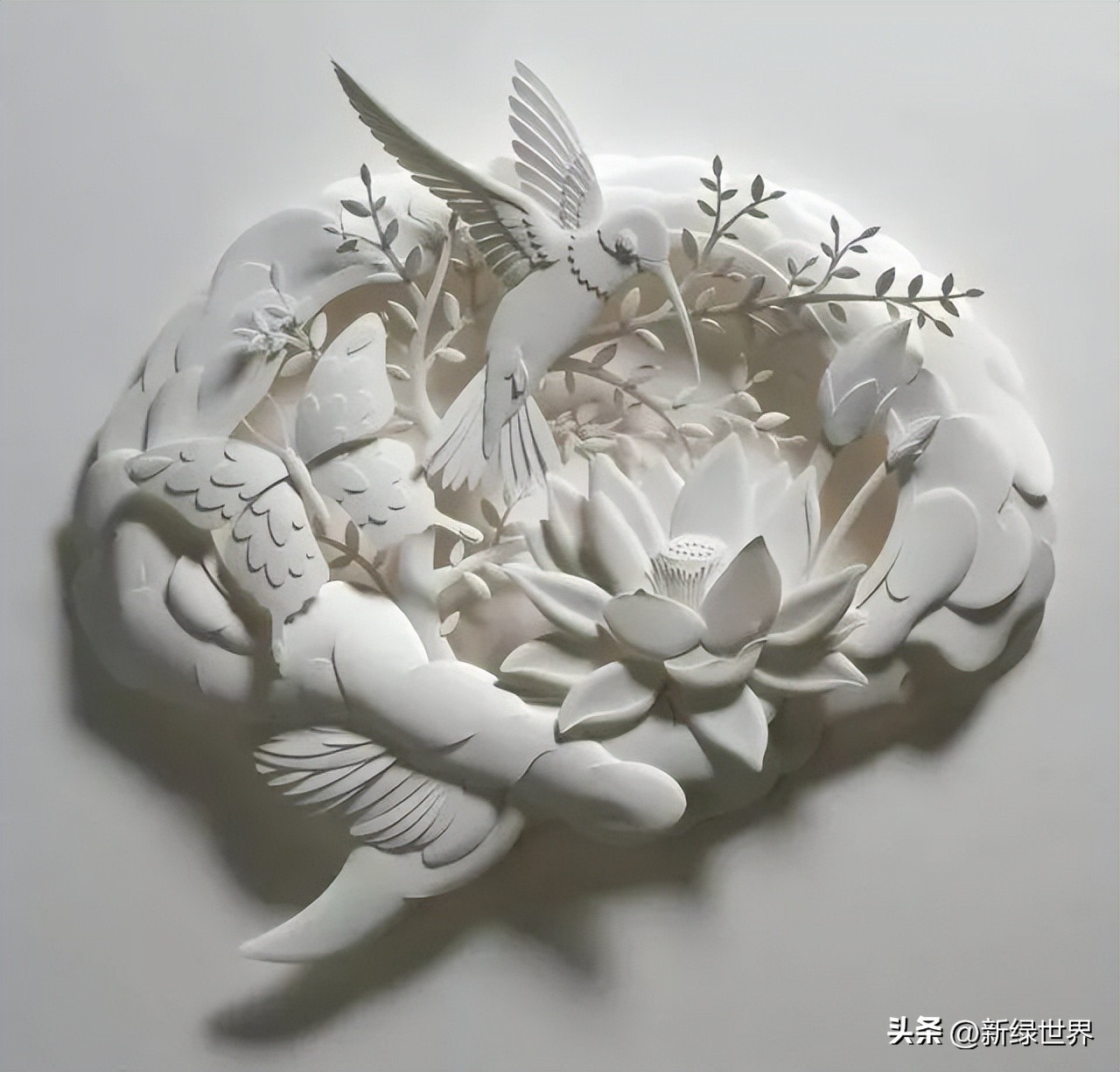 纸艺作品绘画,千变万化的纸艺术作品