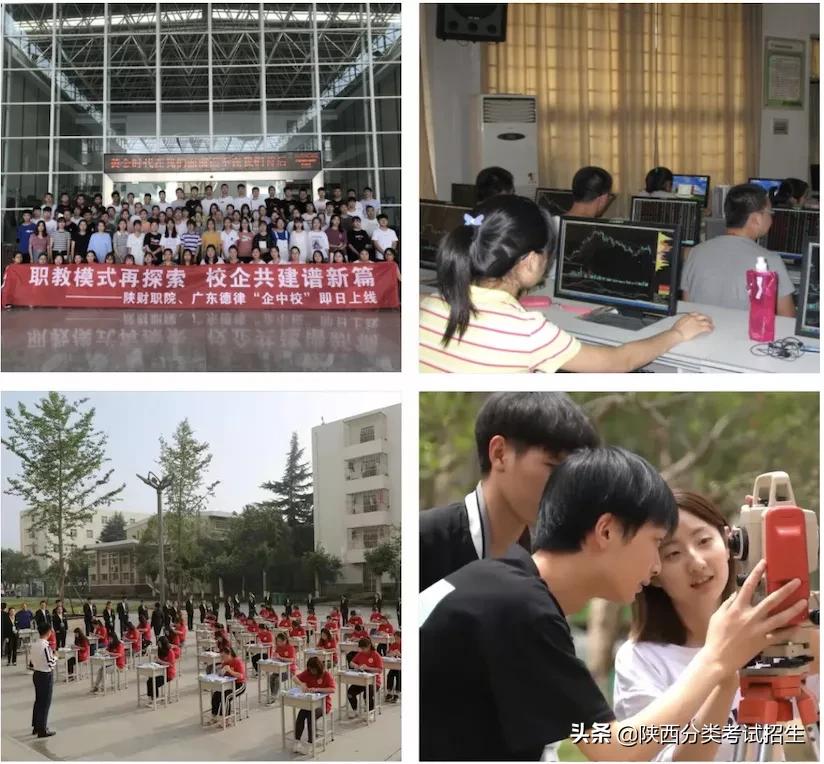 单招陕西财经职业技术学院,陕西财经职业技术学院单招条件