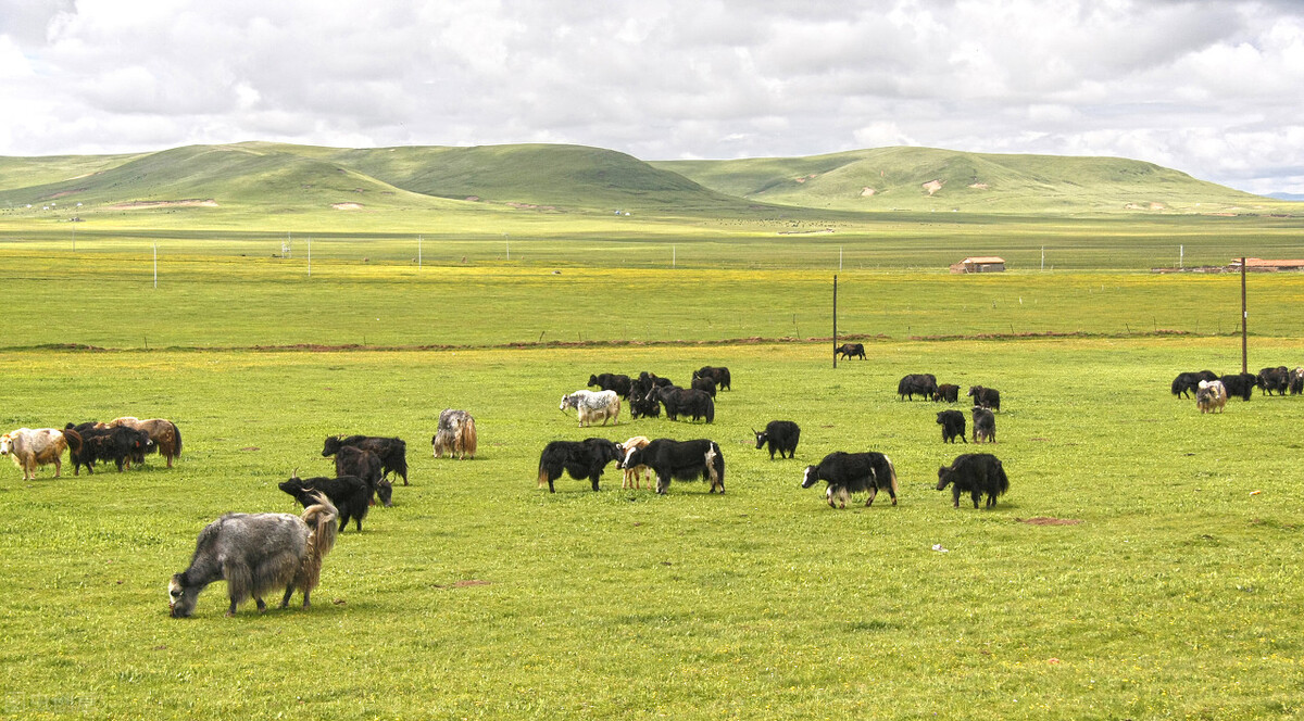 遥远的骑兵——我经历的骑兵训练