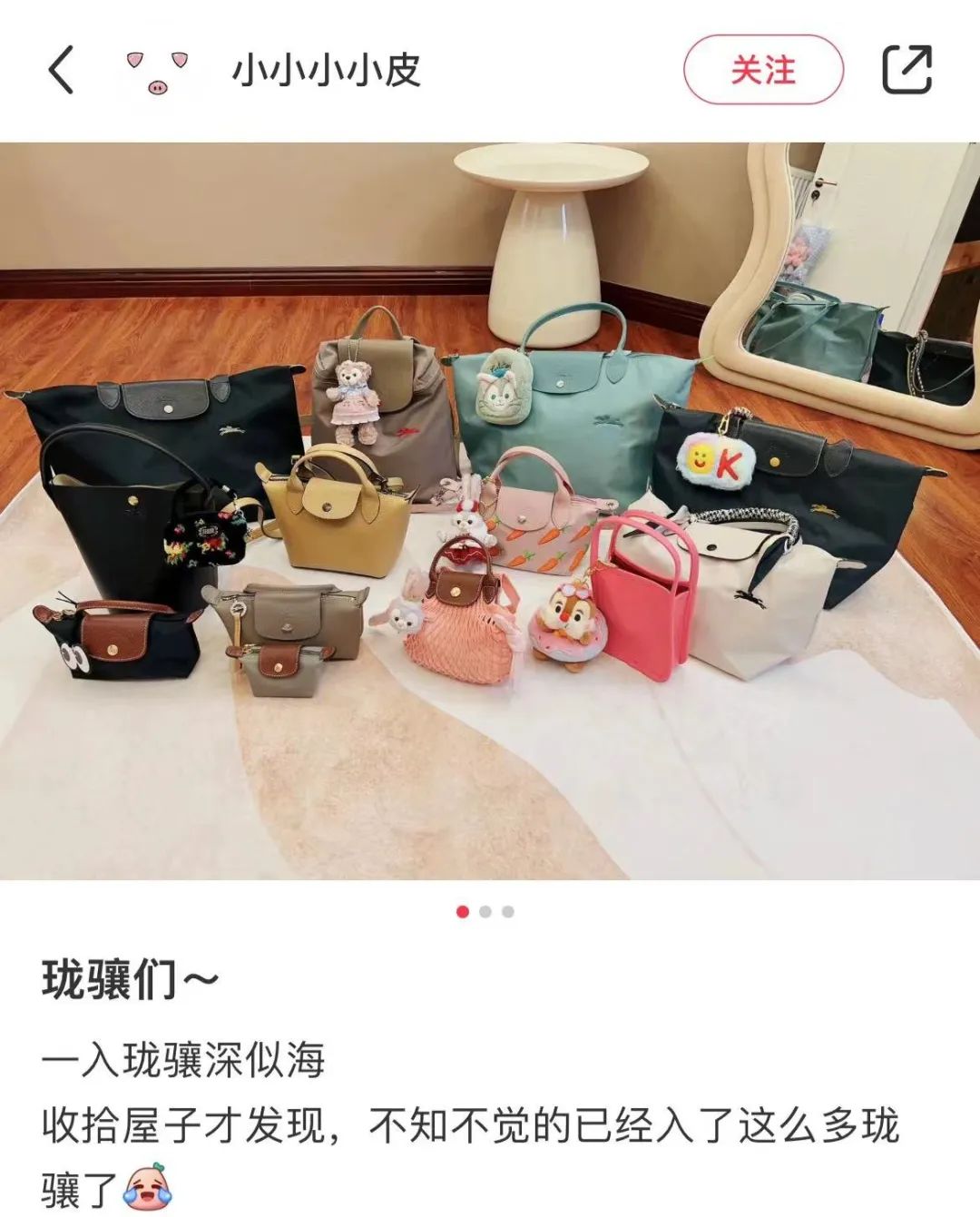 longchamp包为什么会越买越多,longchamp大号包为什么比小号便宜