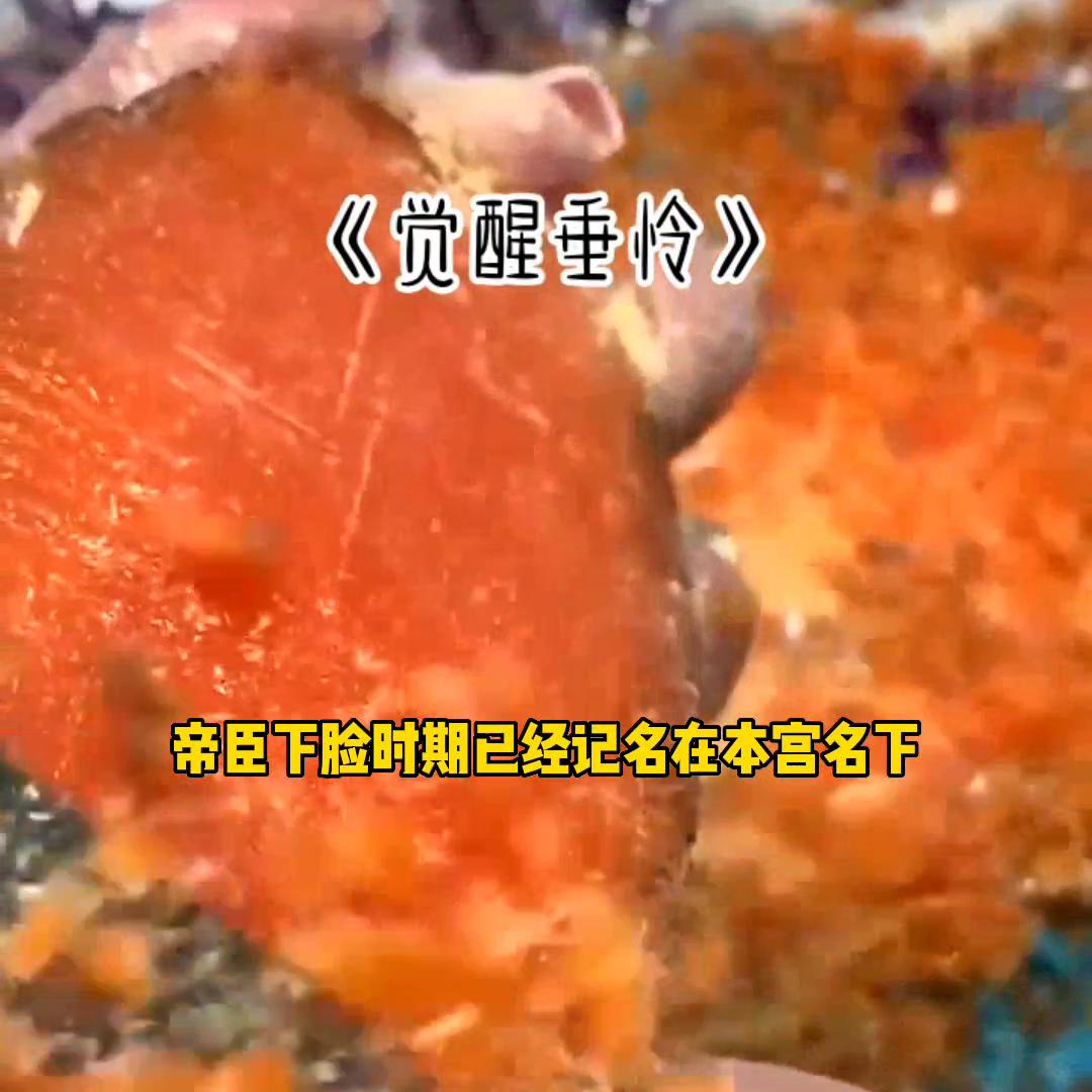 小说孽缘,小说推荐