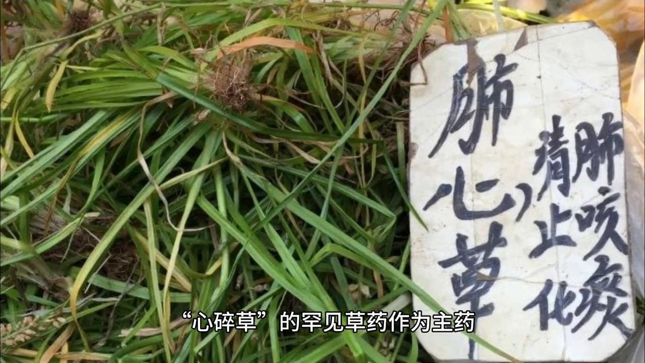 传说中的周公子是谁,传说中的大叔文