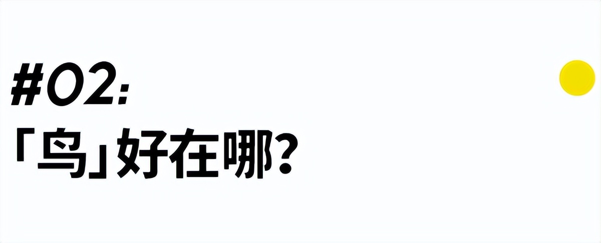 安踏收购了始祖鸟为什么还那么贵,安踏高管始祖鸟配货