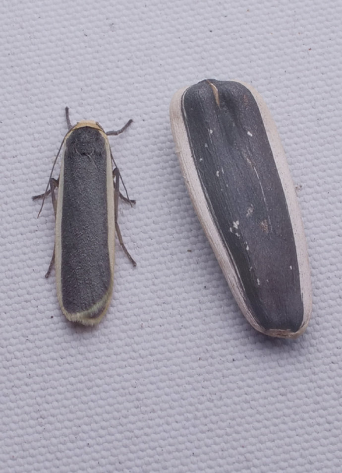 「被窝段子20221101」生命中的全部偶然其实都是命中注定