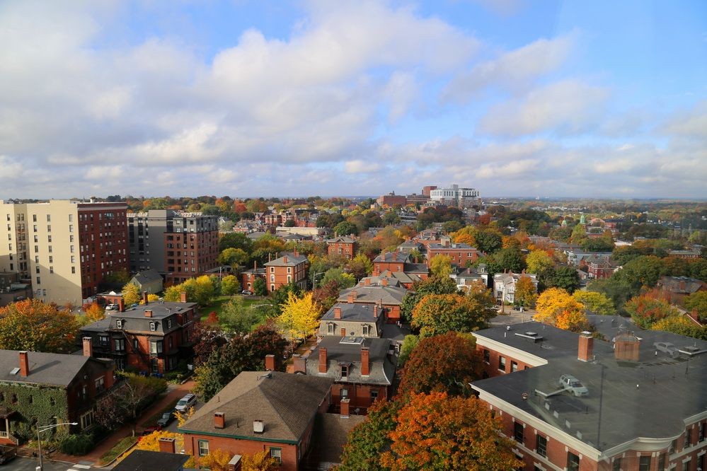 波兰农业现状,波兰产业结构最新