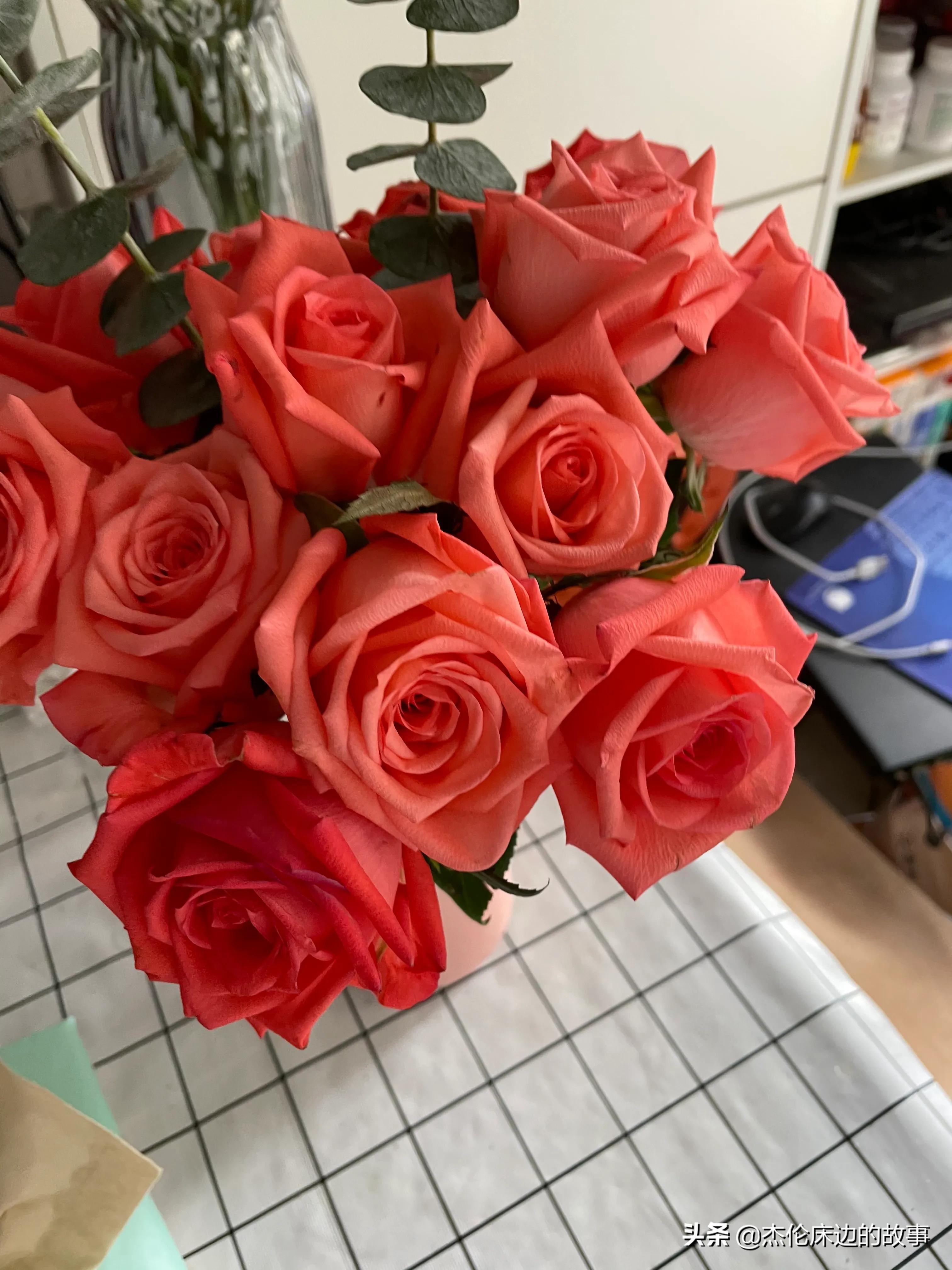 网上鲜切花怎么养护,最耐养的鲜切花