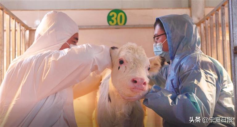 宁夏擦亮高质量发展科技底色,银川科技孵化