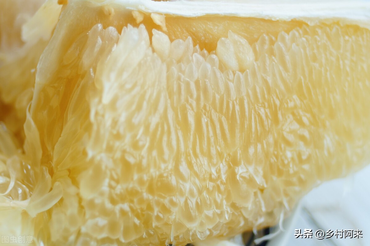 什么品种的柚子皮薄又大又甜,适合院子里种的柚子优良品种