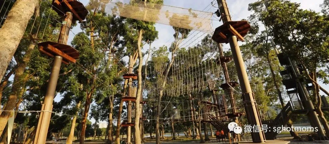 新加坡遛娃免费景点推荐一下,新加坡周末遛娃