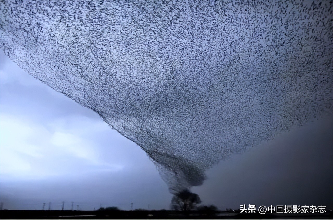 历史上让人毛骨悚然的照片100张,40张罕见的历史照片让人大开眼界