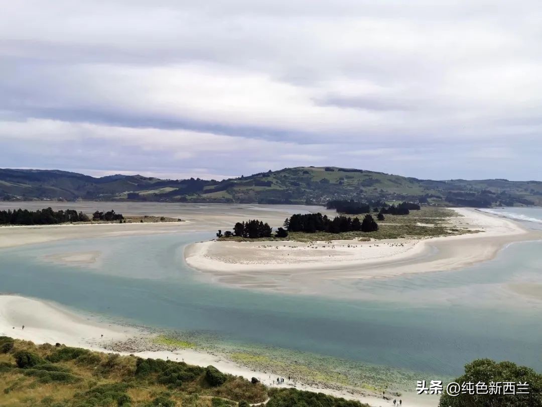 但尼丁火车站简介,新西兰但尼丁城市简介