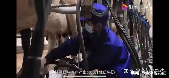 如何选择一款放心的牛奶,便宜又质量很好的牛奶有哪些