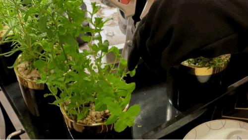 老佛爷酒店澳门价格,全球第二贵酒店