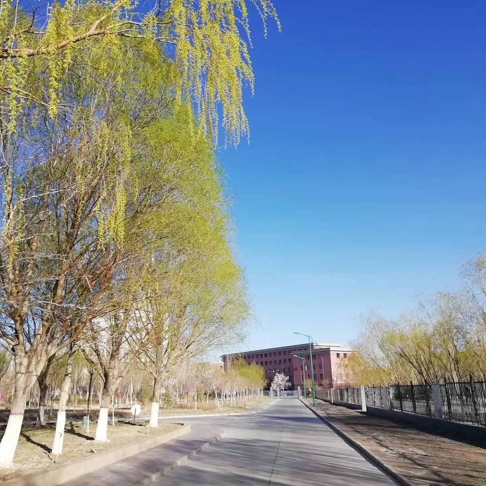 绝密的中国城市:地图上被彻底抹去,14亿国人都该铭记的神秘小城