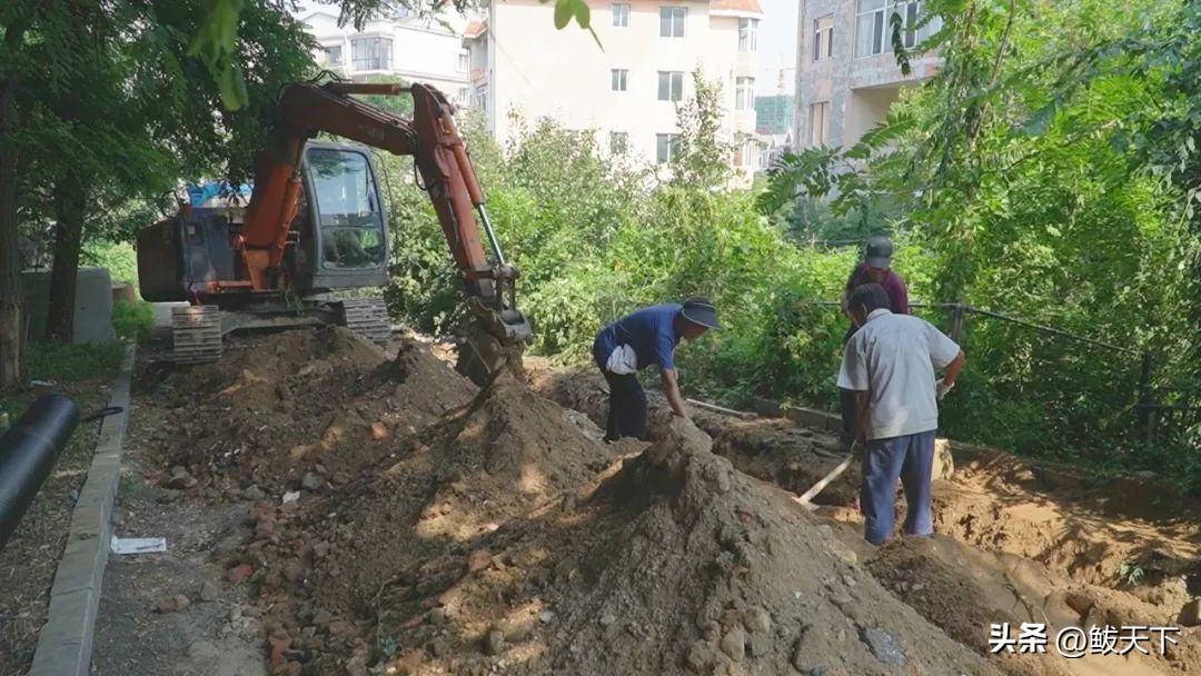 鲅鱼圈惠民工程,鲅鱼圈2018年惠民实事