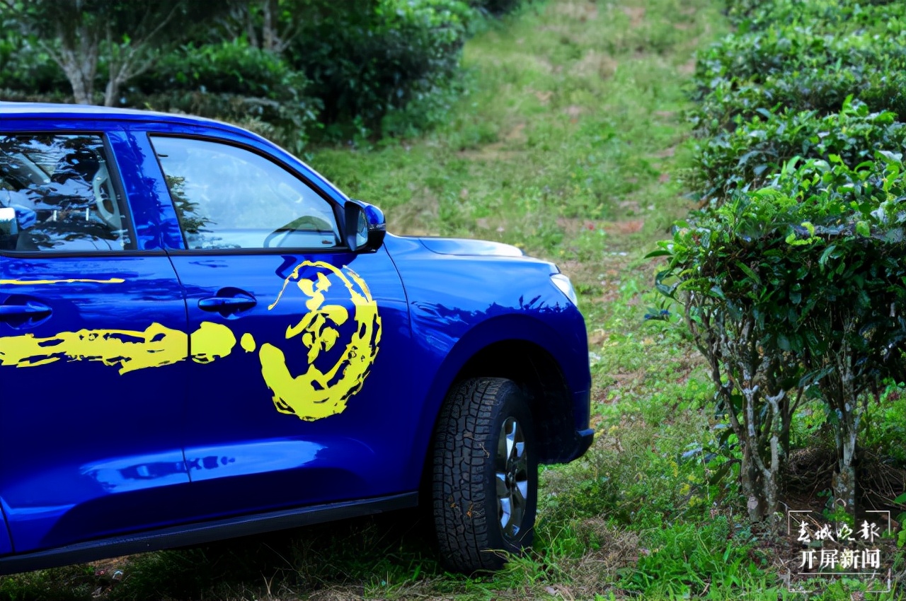 12.98万元起长城炮茶王版西双版纳上市助力产业升级