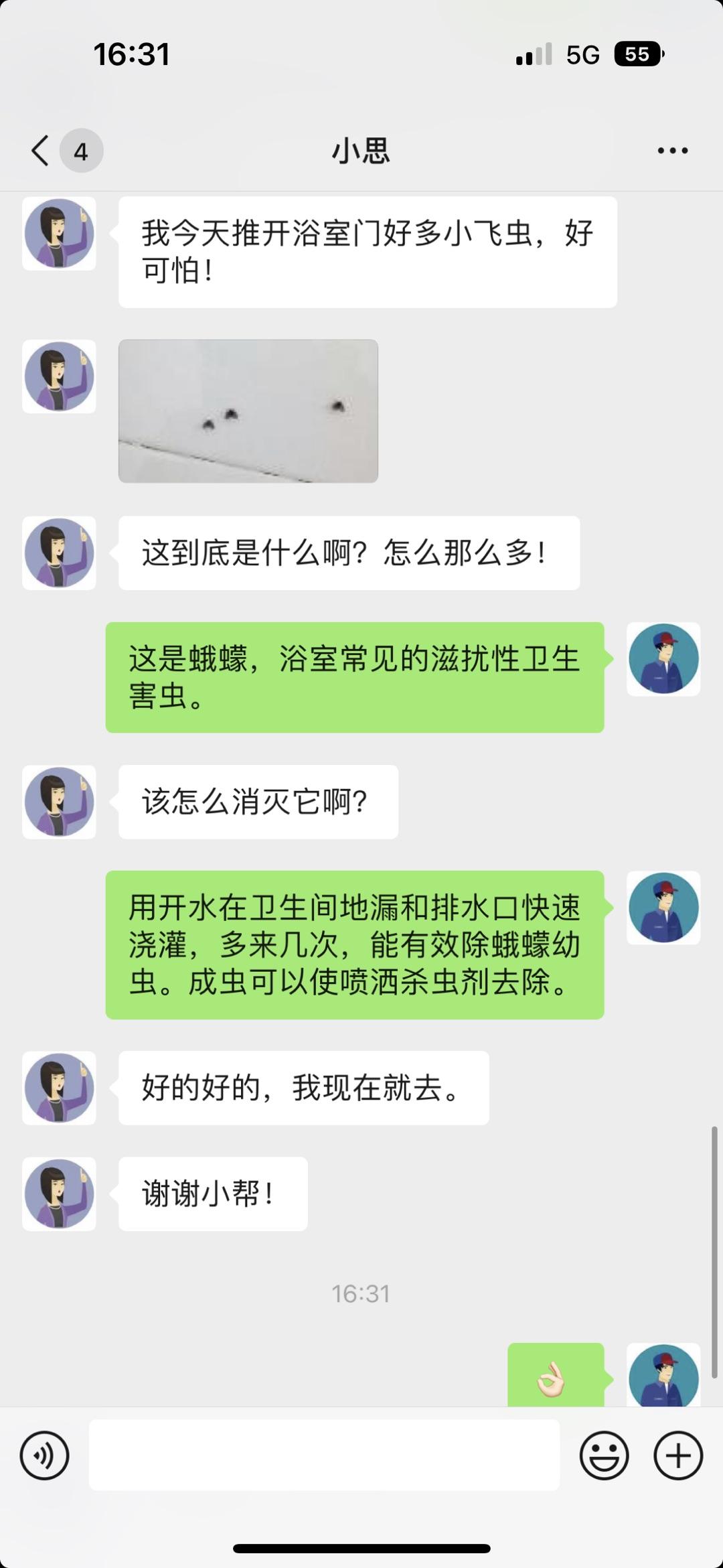 洗手间有小飞虫怎么办没有地漏,卫生间墙上有很多小飞虫怎么办