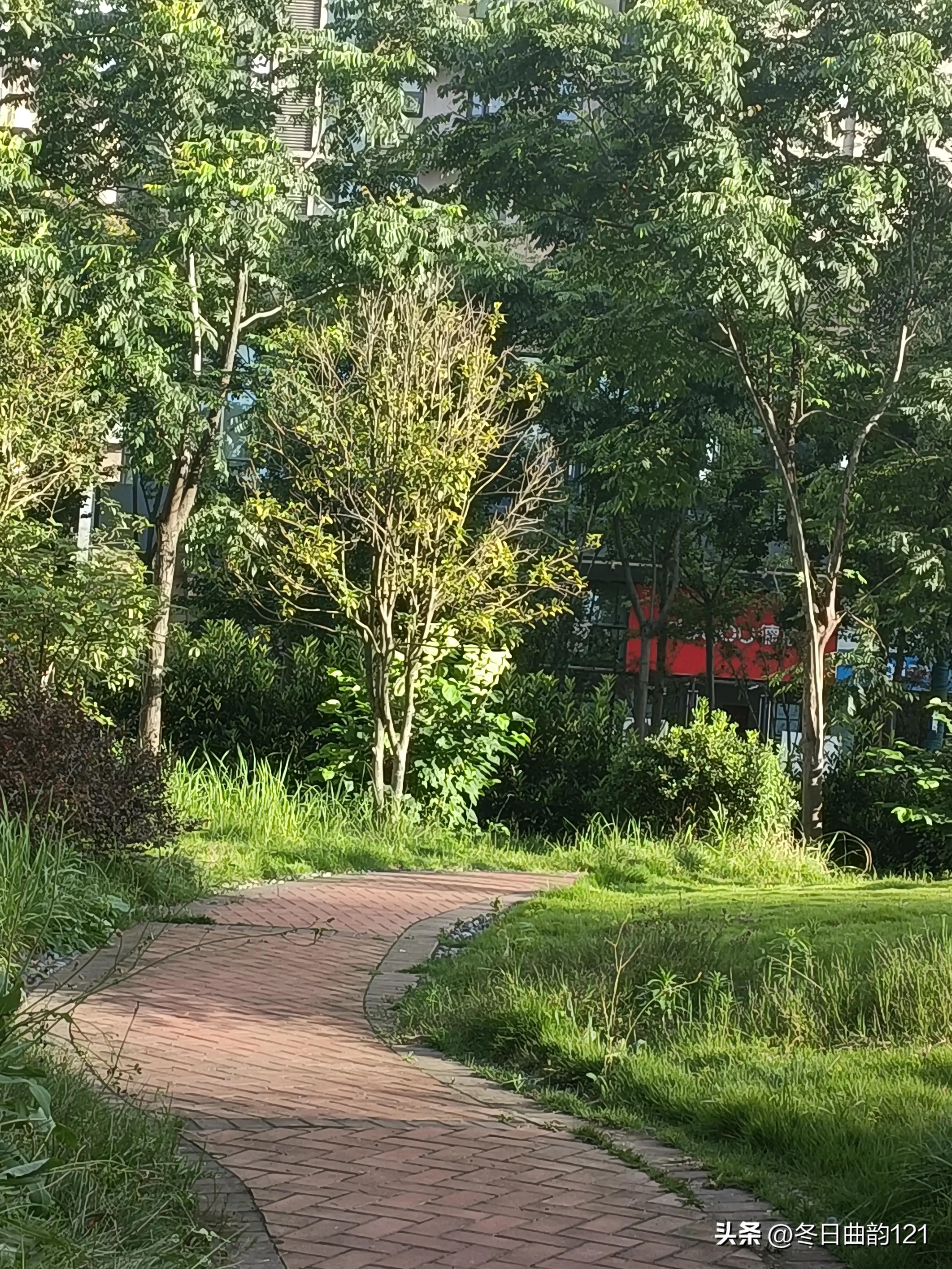 雨过天晴空气格外的清爽,雨过天晴蓝天白云晴空万里