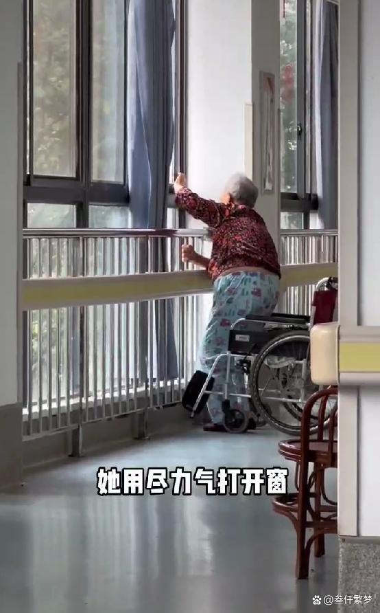 体验100种人生养老院,体验养老院的真实生活