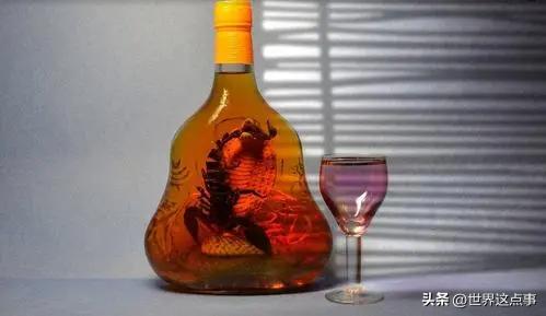 澳大利亚旅游知识大全,澳大利亚旅游攻略详情介绍