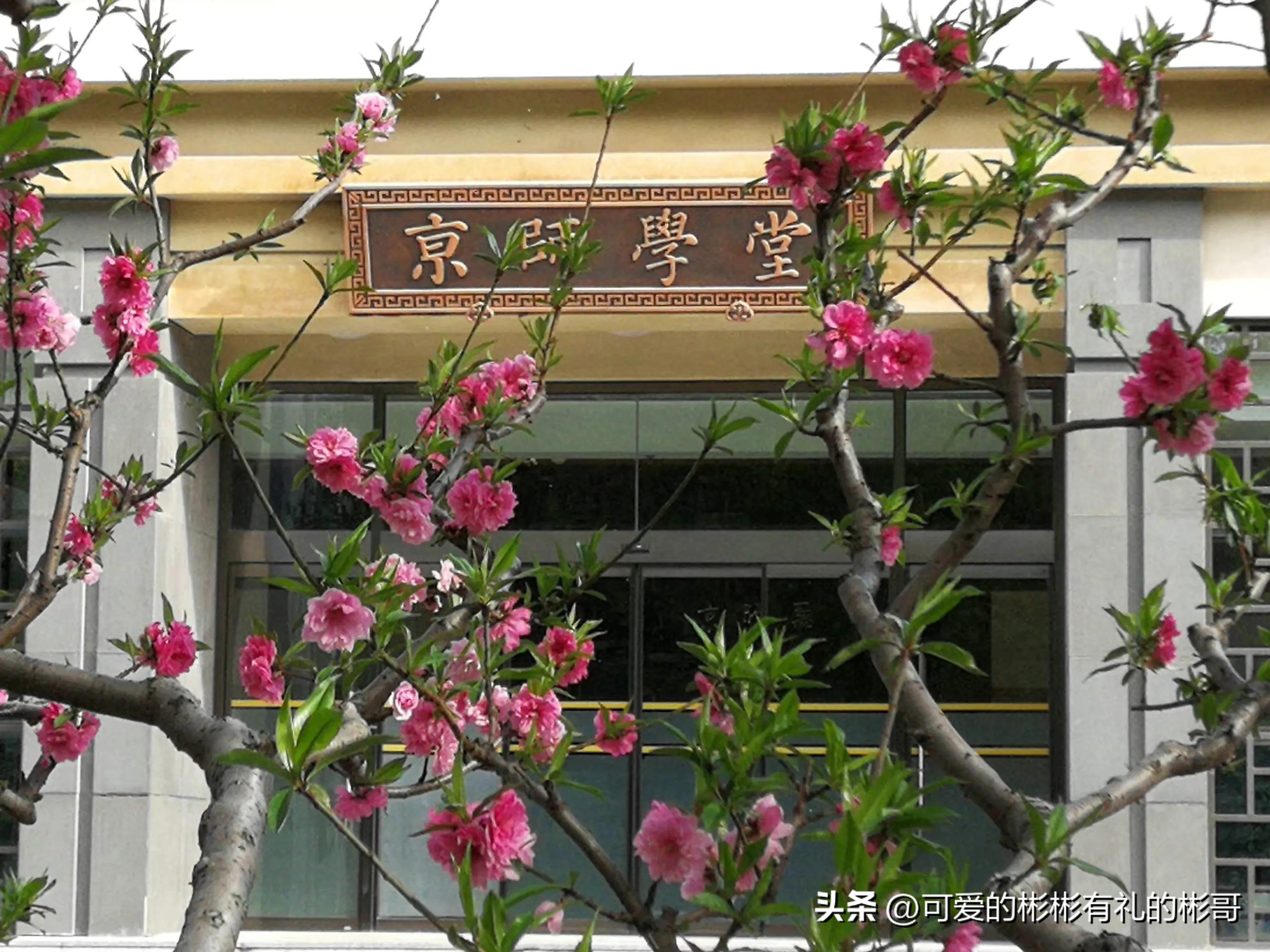 北京师范大学，全国师范类最高学府，就业和升学都非常可观