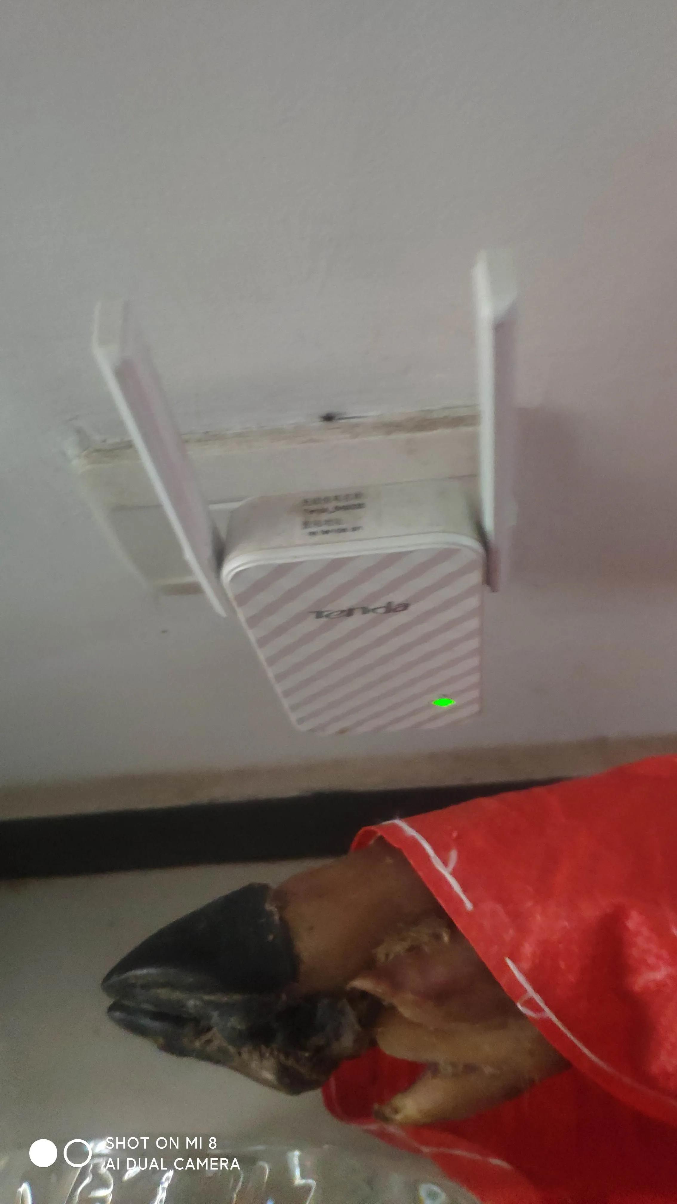 网络放大器是智商税吗,wifi信号增强放大器是智商税吗