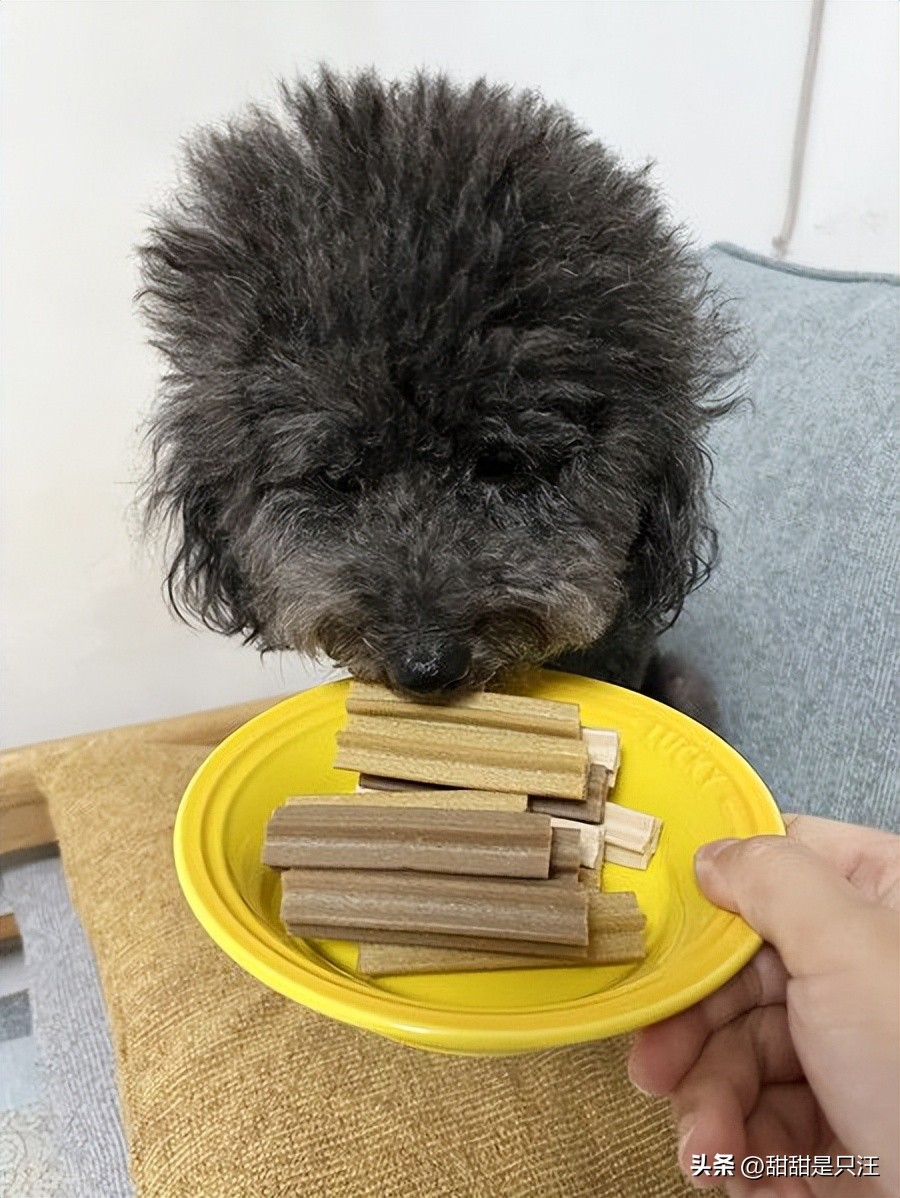 狗零食最好的牌子,6大狗零食种类分析测评