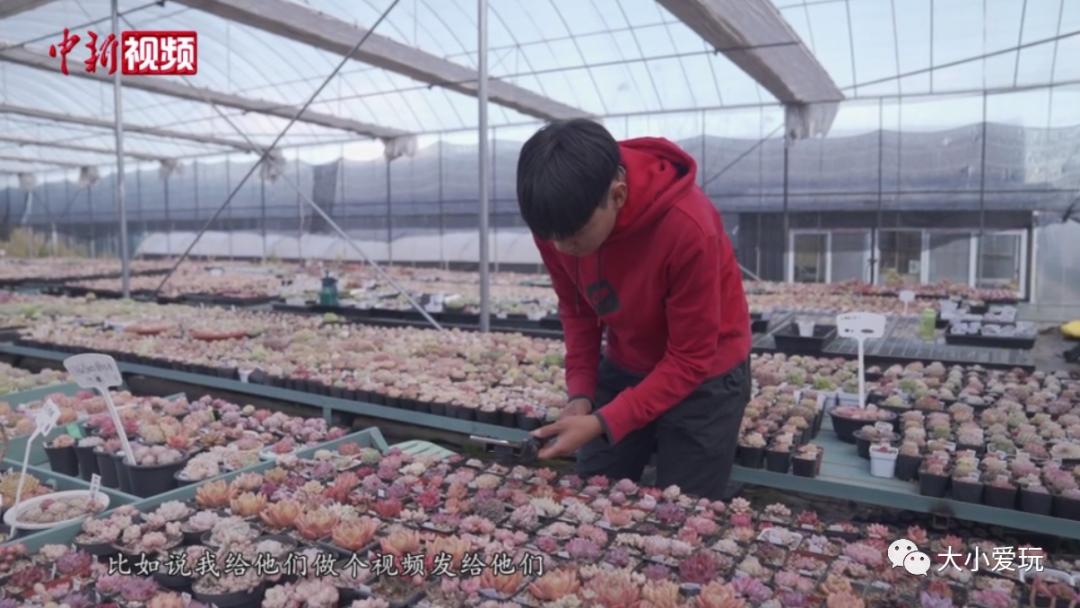 看了这些听都没听过的新兴职业,老母亲不淡定了